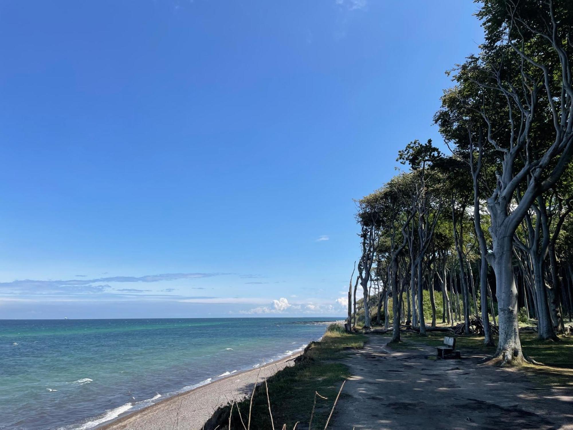 Pension Richter Ostseebad Nienhagen Buitenkant foto